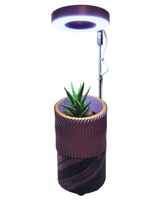 Purple Pearl Sonic Bloom Speaker